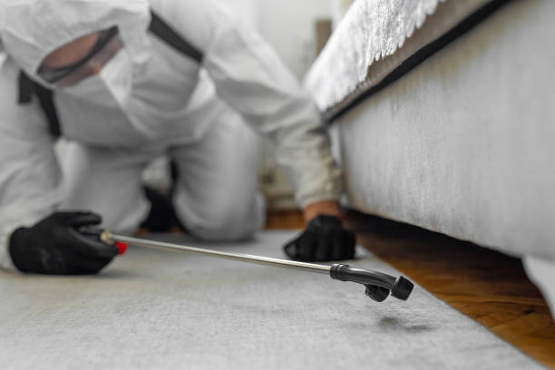 Professional Bed Bug Control technician working in Kerrville, TX