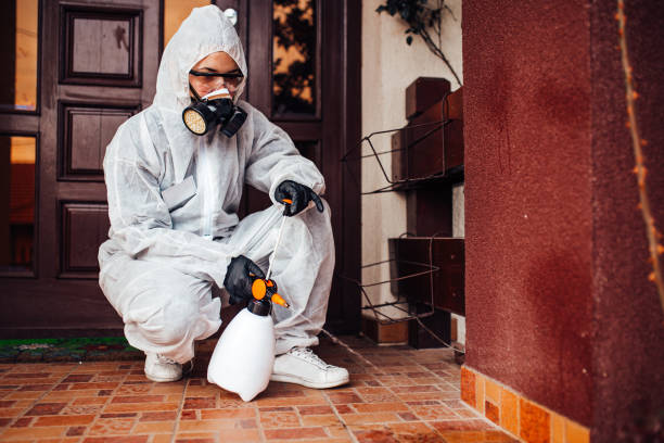 Reliable Bed Bug Control contractor in Kerrville, TX by Nex Pest Control