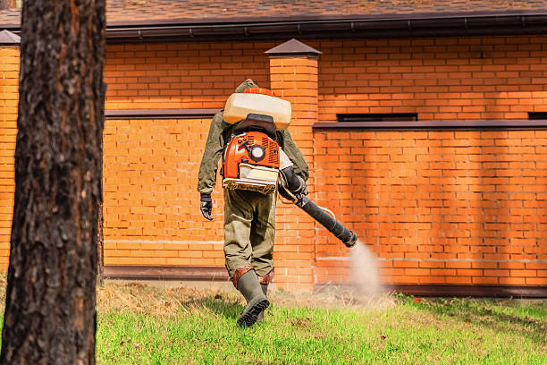 Trusted Emergency Pest Control service in Kerrville, TX - Nex Pest Control
